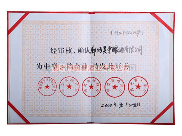 中型二檔企業(yè)證書(shū)